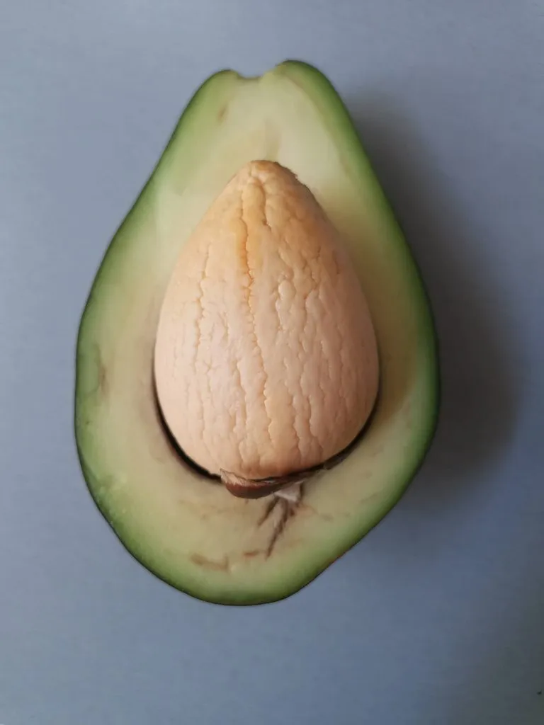 Где, что и когда купить в Москве