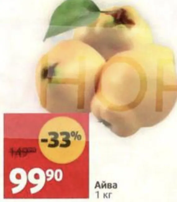 Где, что и когда купить в Москве