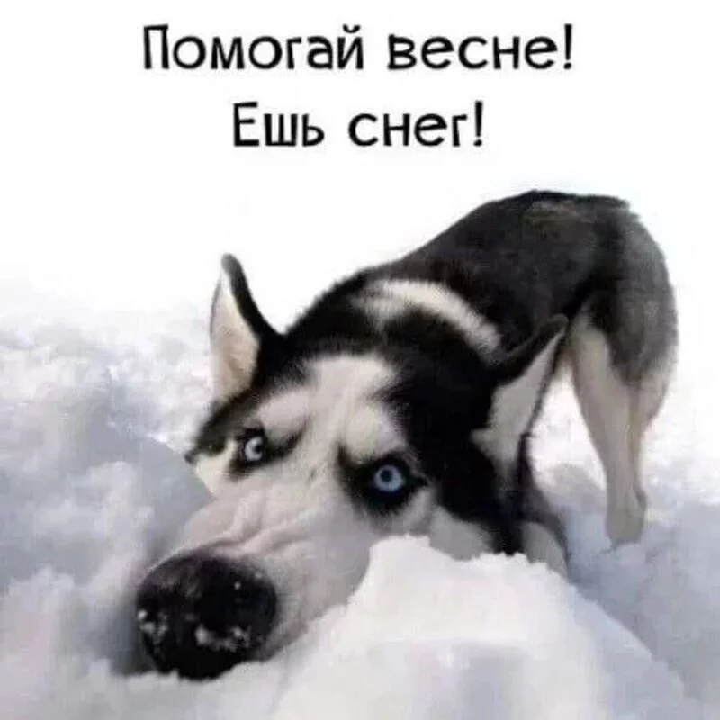 Посмеялся сам - поделись с другом!!!