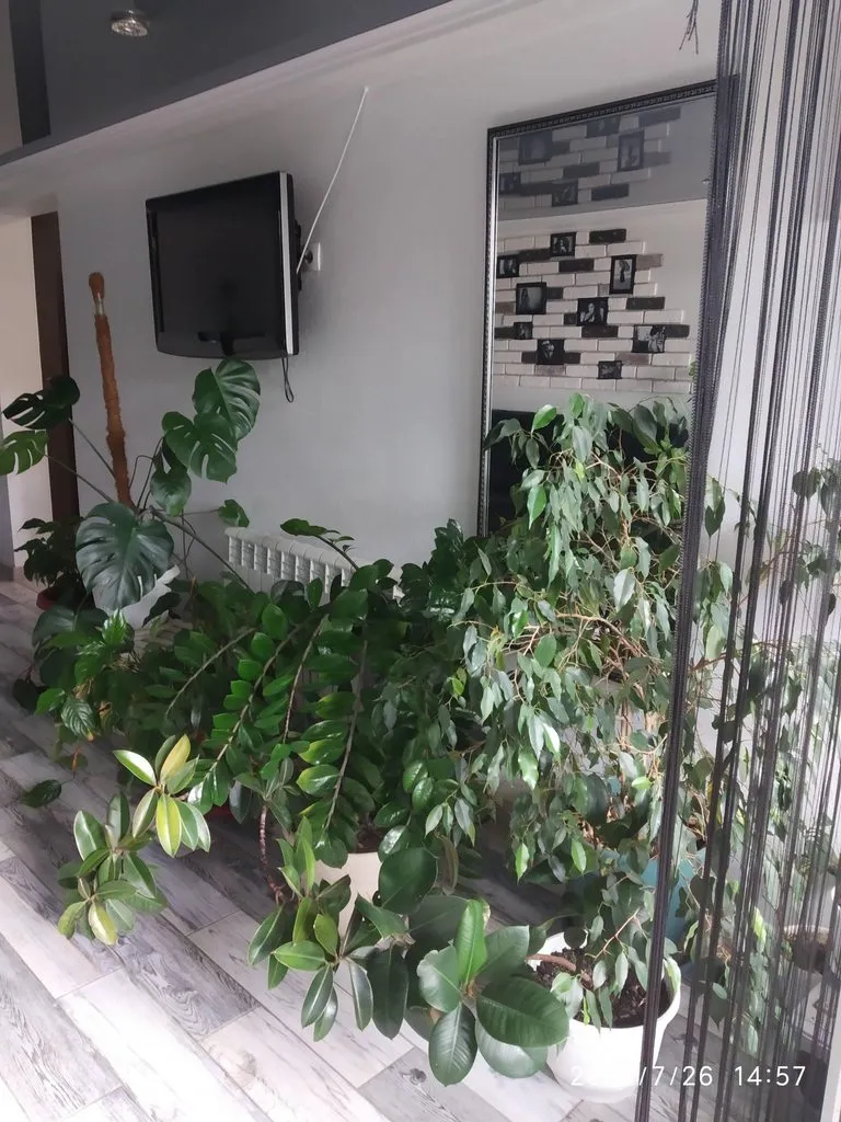 Чайная беседка