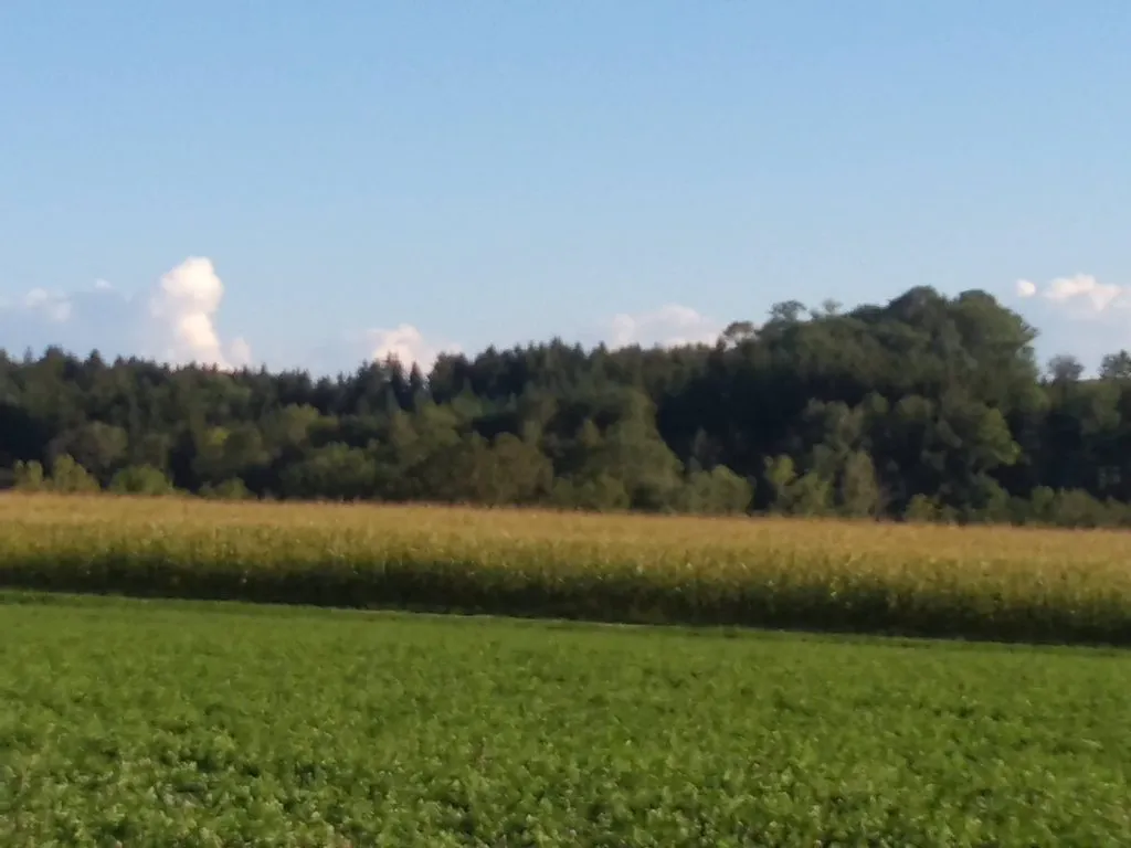 Чайная беседка