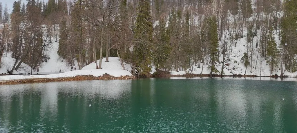 Tapтaлeтки & Ко