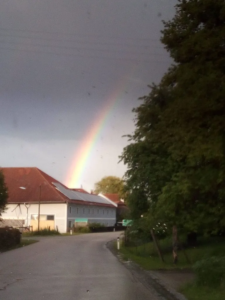 Чайная беседка