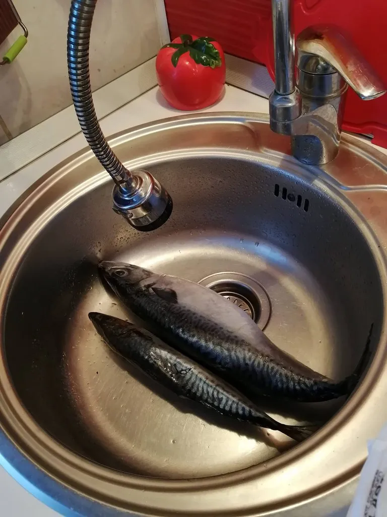 Рыбный флуд
