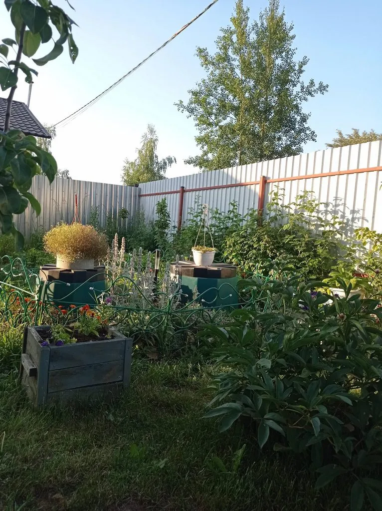 Tapтaлeтки & Ко
