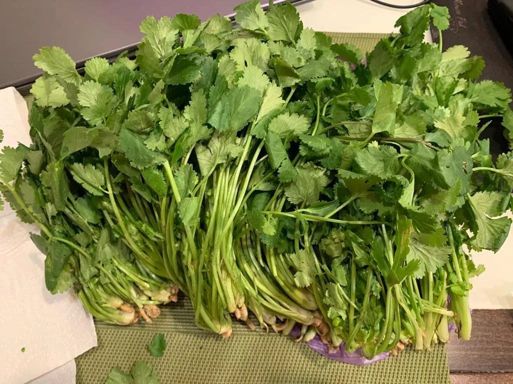 Где, что и когда купить в Москве