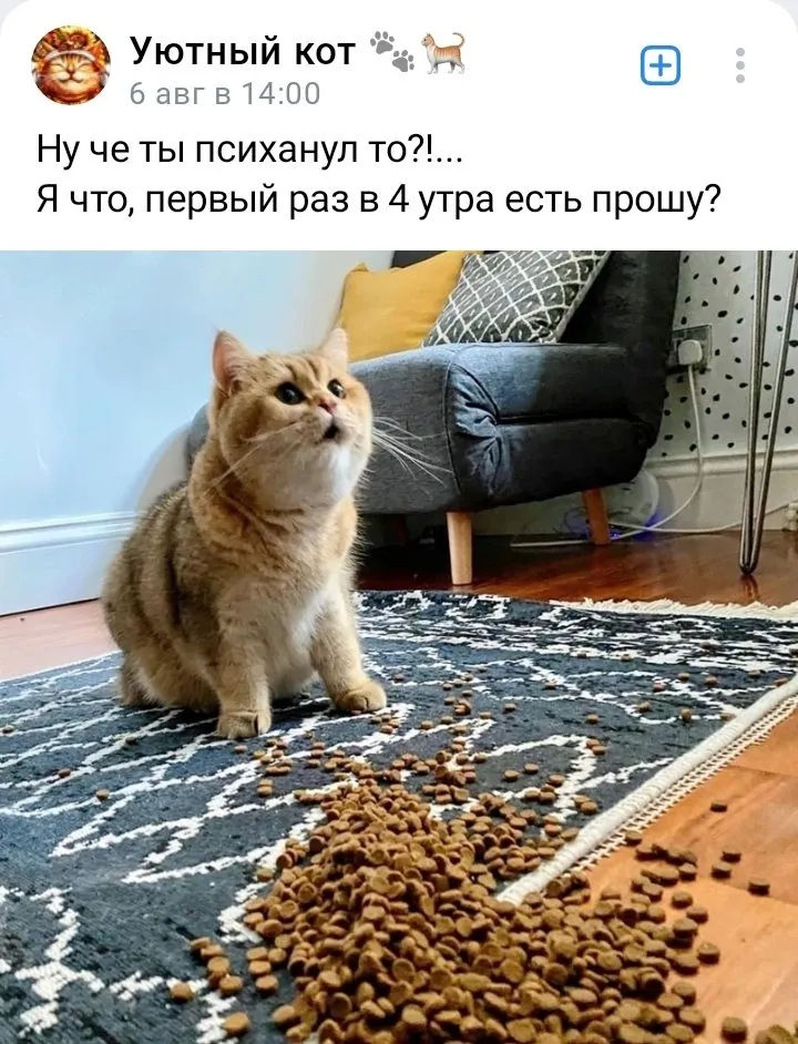 Кошичкина полиция