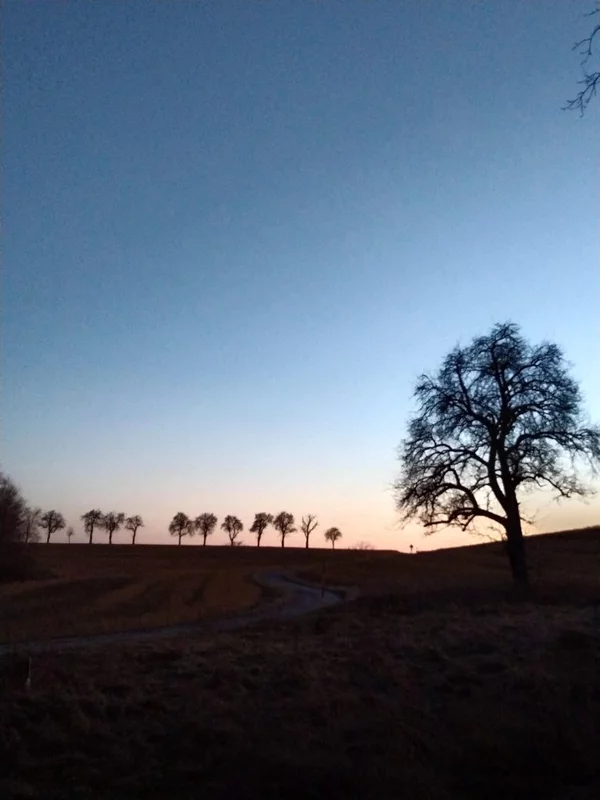 Такое разное небо