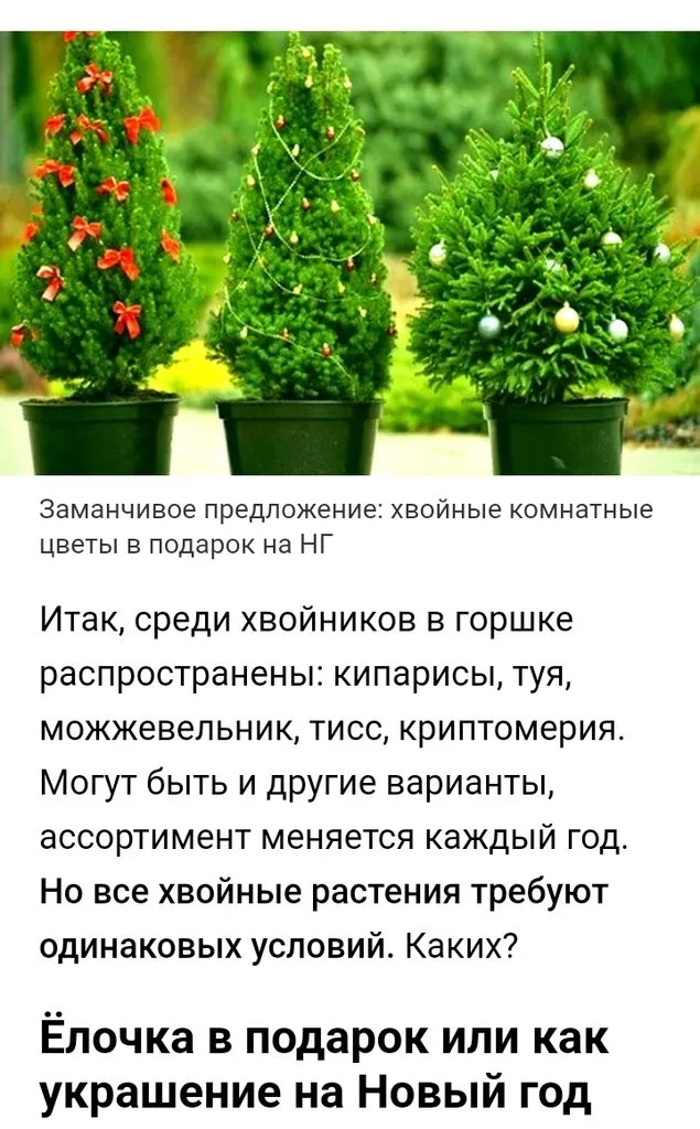 Кафе «У пани Сони»