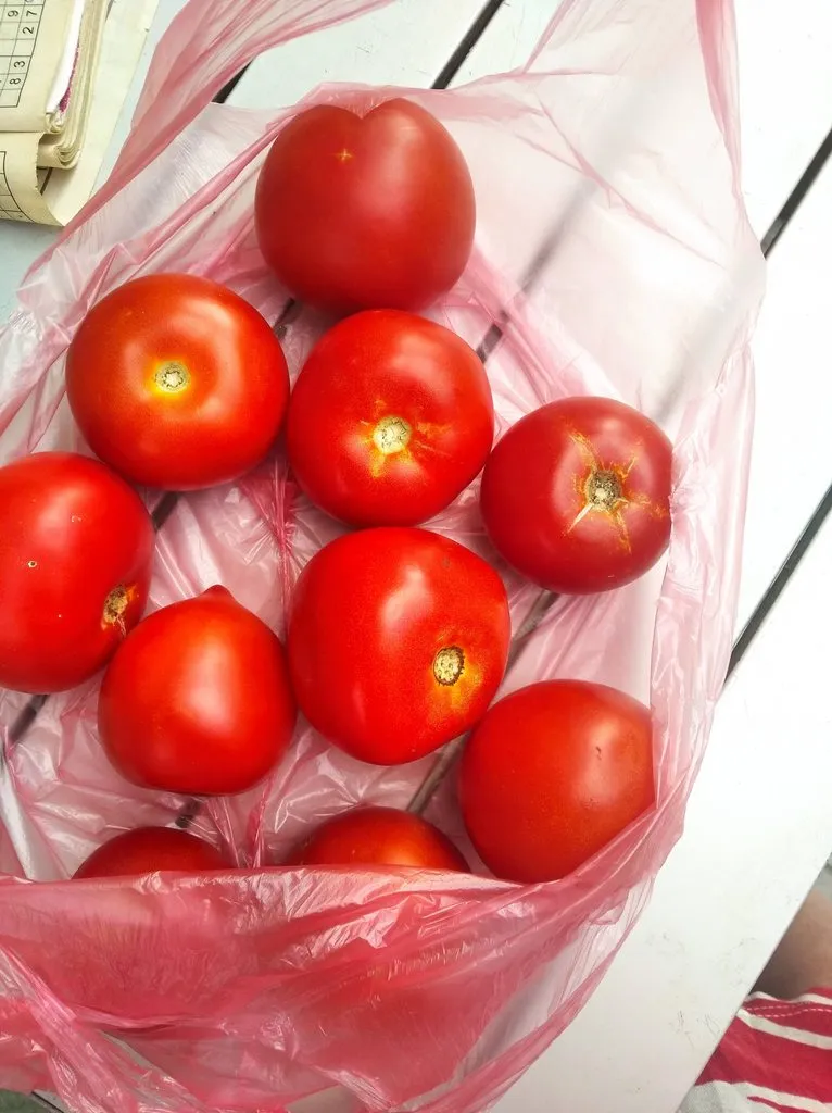 Чайная беседка