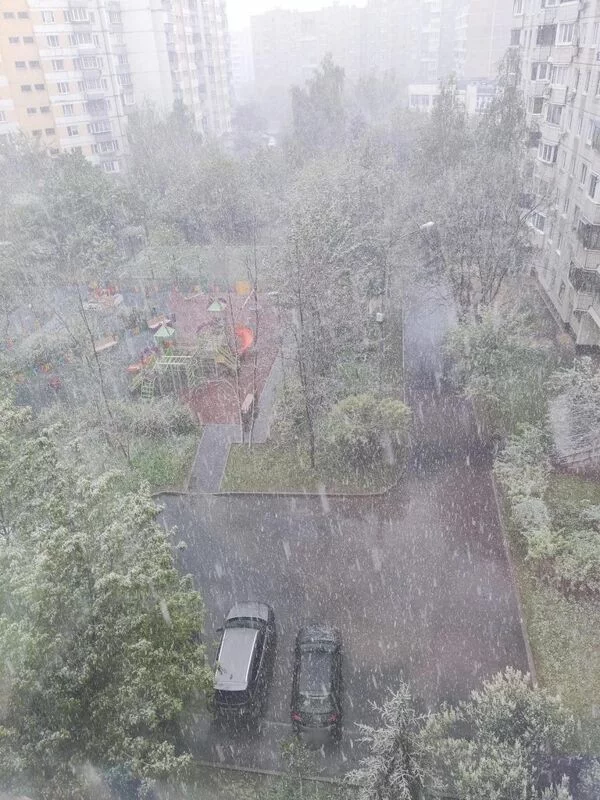 Чайная беседка