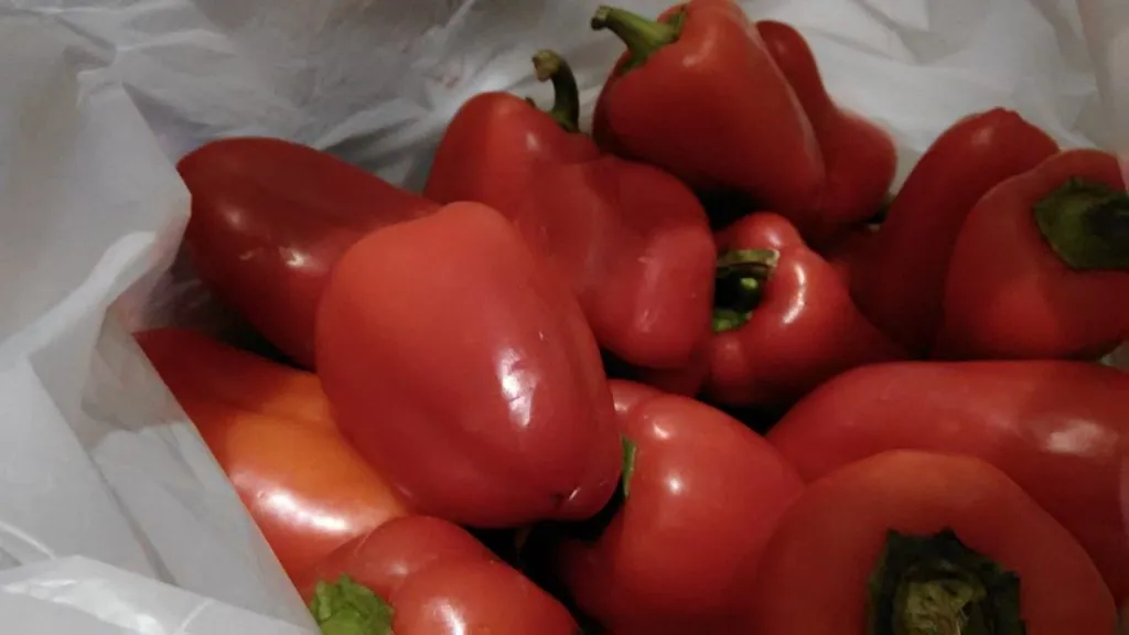 Где, что и когда купить в Москве