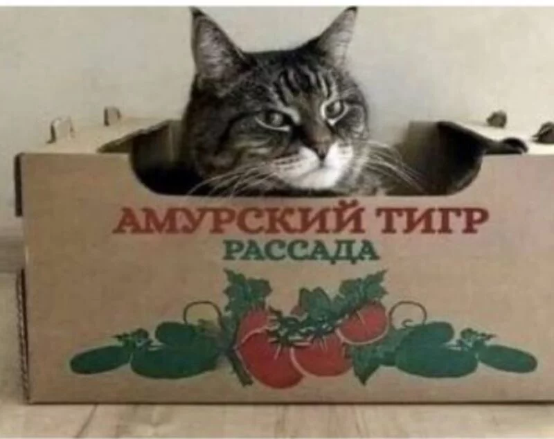 Посмеялся сам - поделись с другом!!!