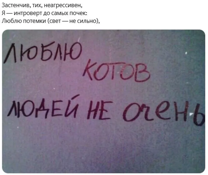 Всюду рифмы