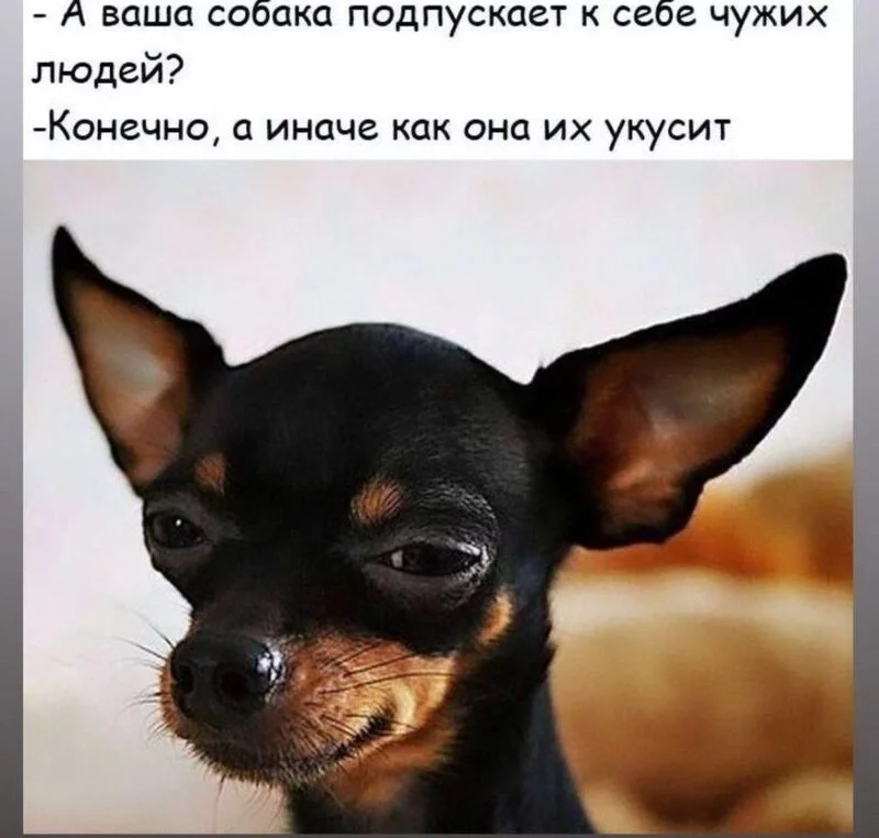 Посмеялся сам - поделись с другом!!!