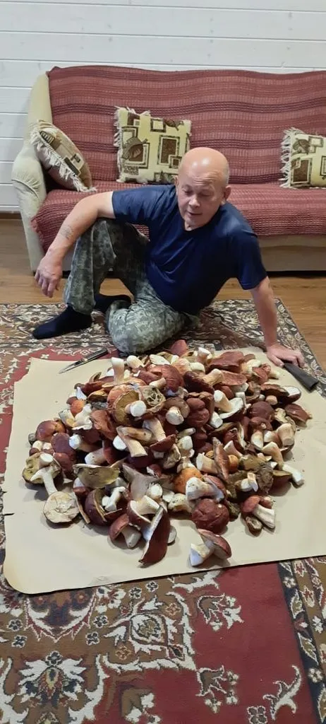 По грибы с лукошком