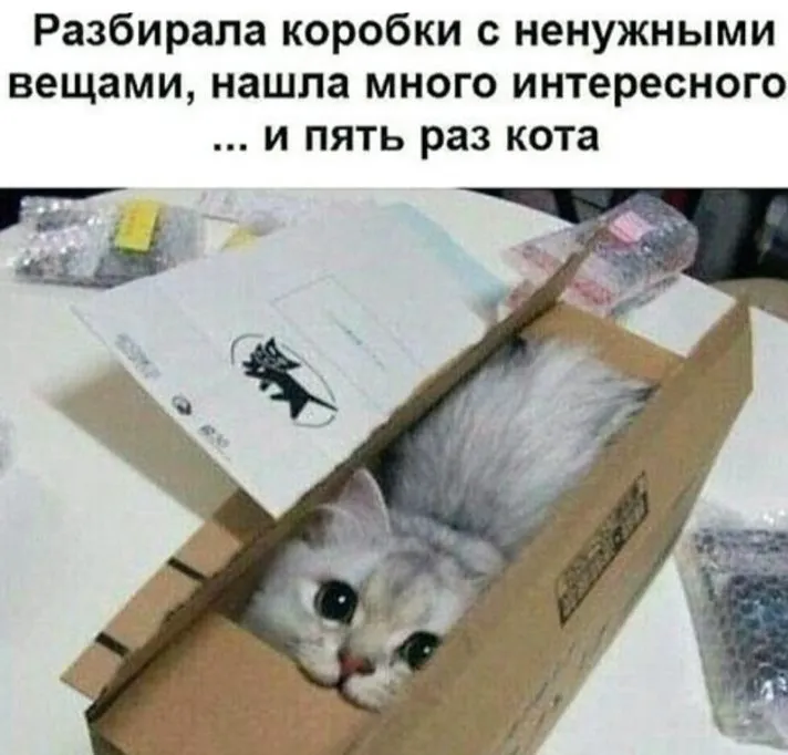 Кошичкина полиция