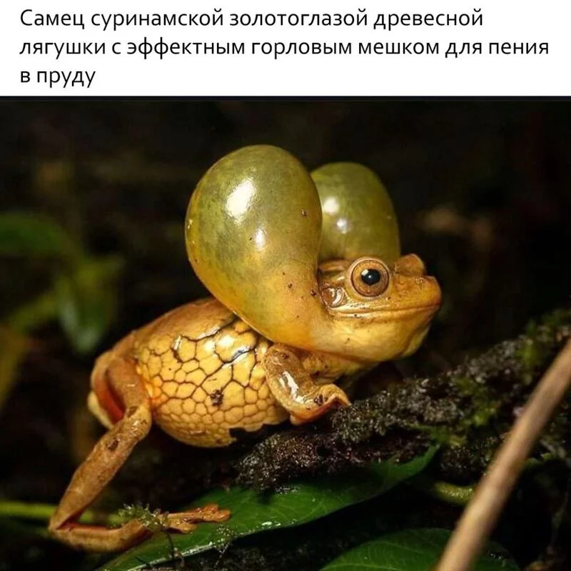 Это интересно!
