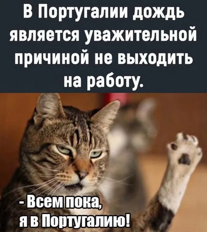 Посмеялся сам - поделись с другом!!!