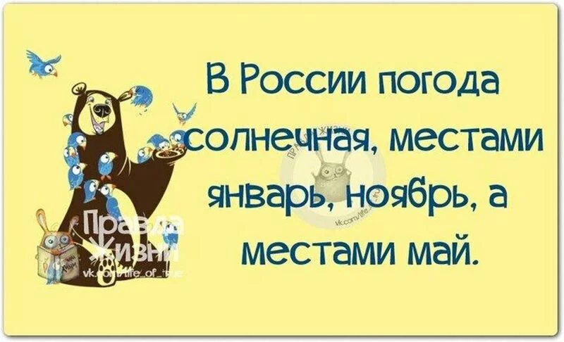 Посмеялся сам - поделись с другом!!!