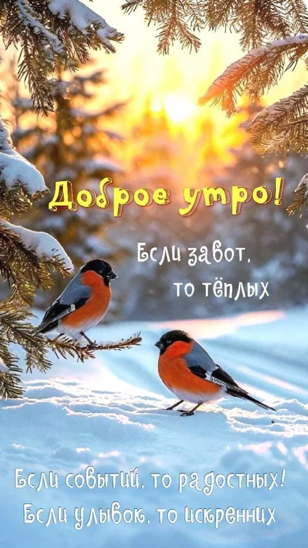 Кафе "У пани Сони"
