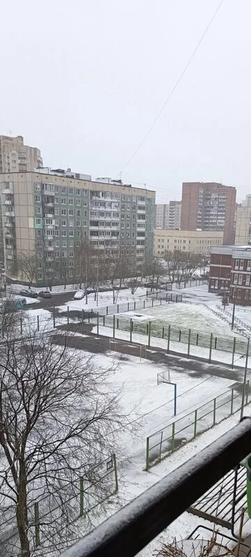 Tapтaлeтки & Ко