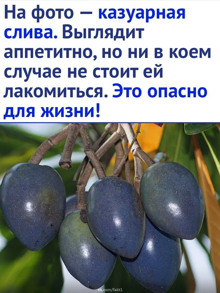 Это интересно!