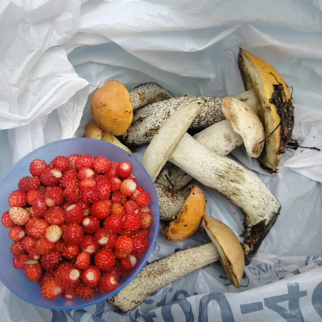 Чайная беседка