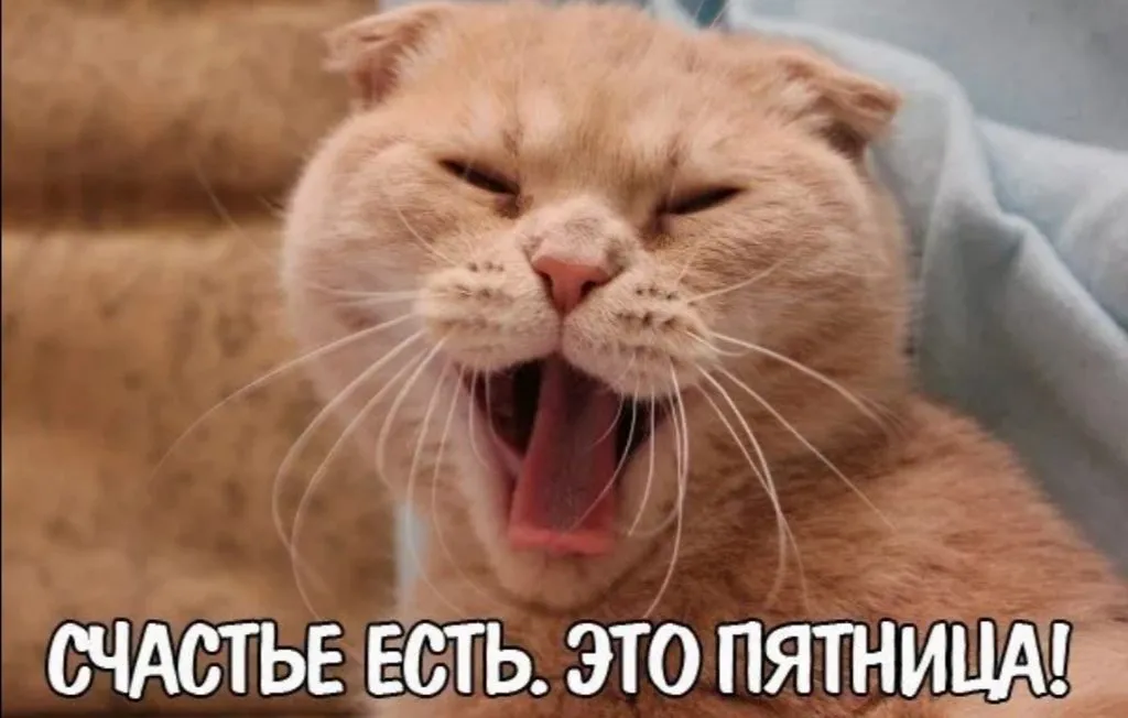 Кафе «У пани Сони»