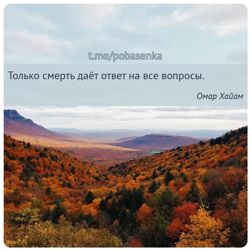 «Только смерть даёт ответ на все...» height="550" width="550"