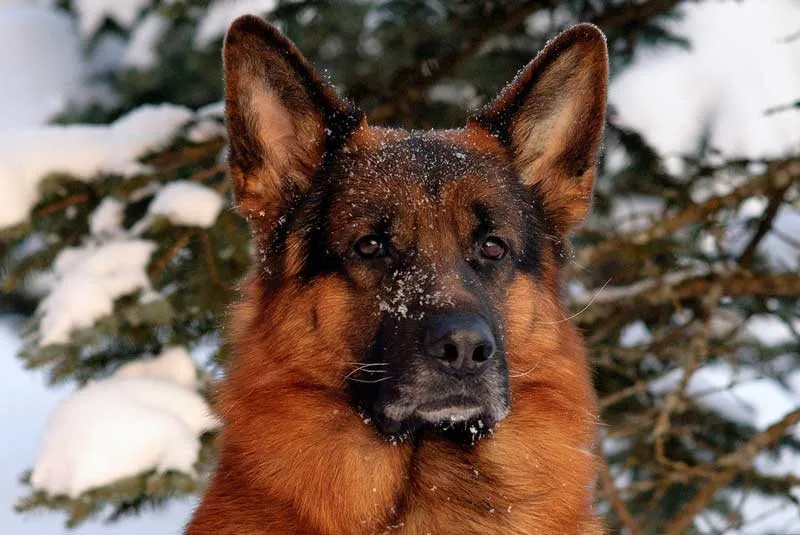 Посмеялся сам - поделись с другом!!!