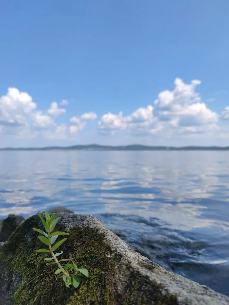 Такое разное небо