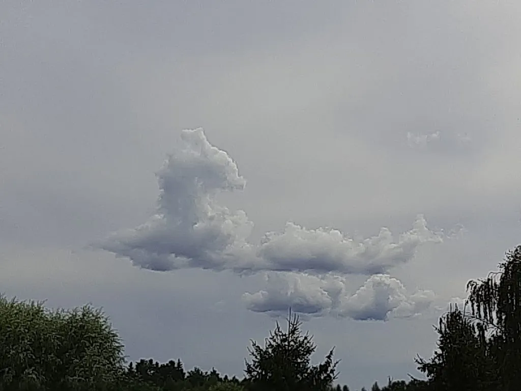 Такое разное небо