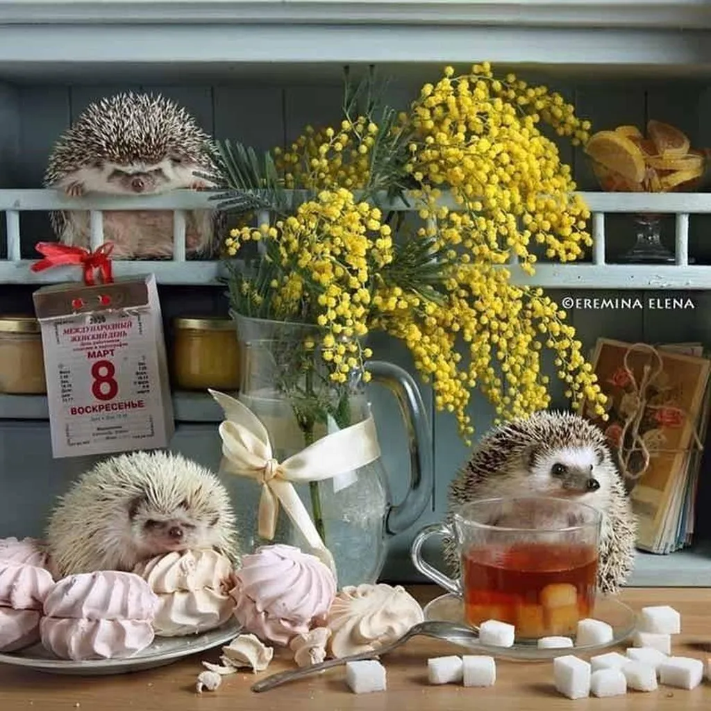 Арт галерея