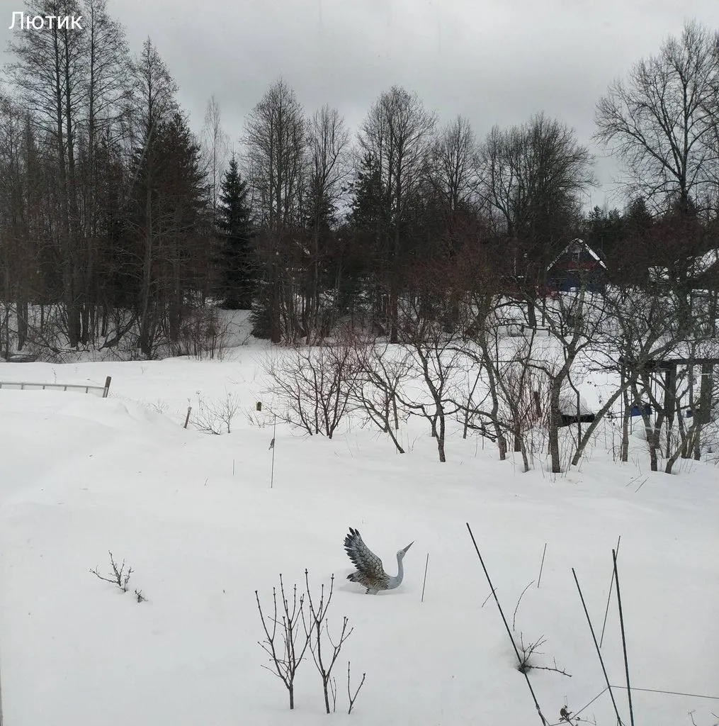 Кафе «У пани Сони»