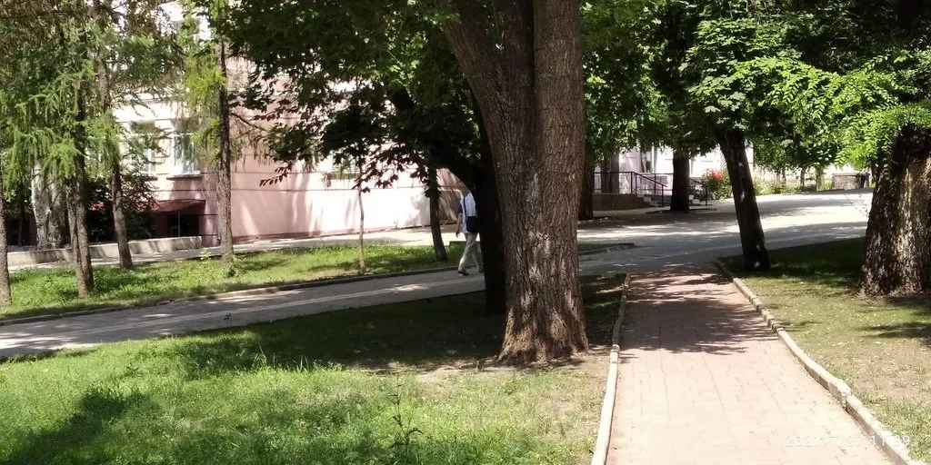 Tapтaлeтки & Ко