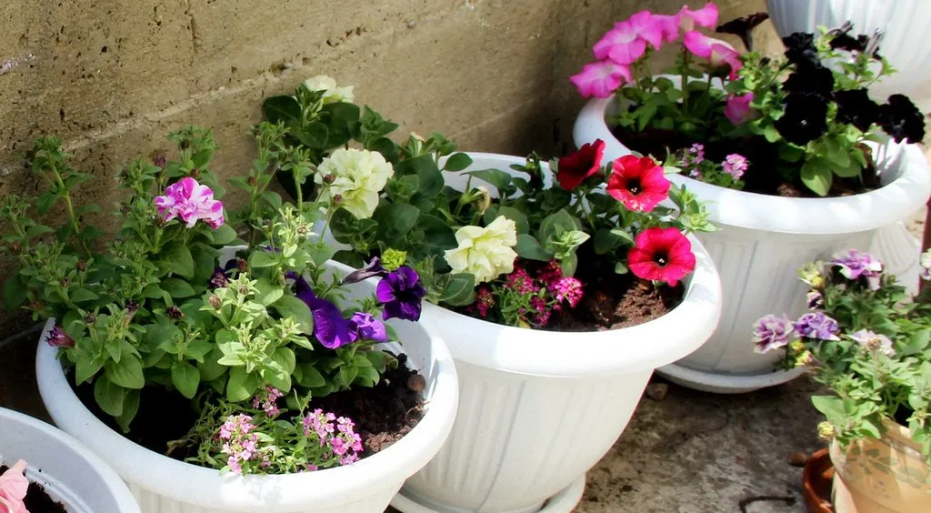 Чайная беседка