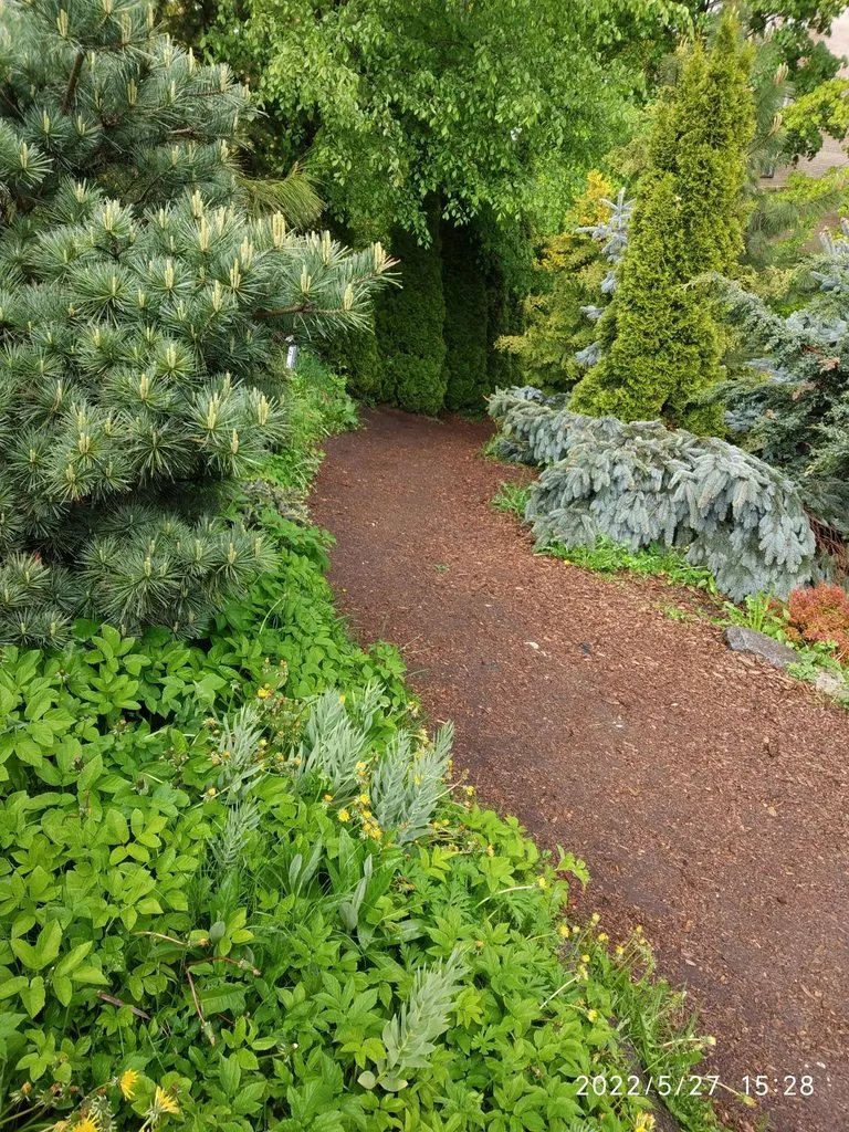 Чайная беседка