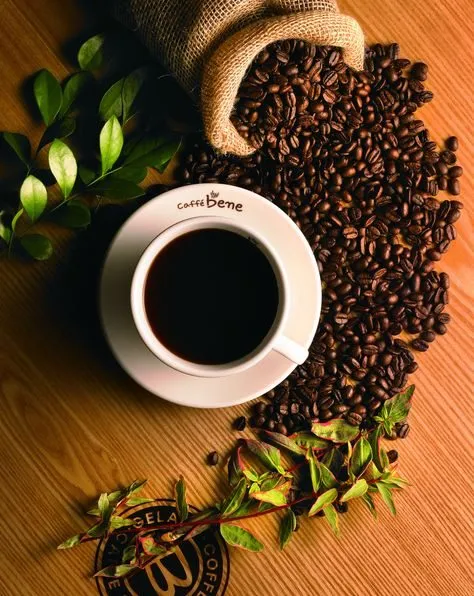 Tapтaлeтки & Ко