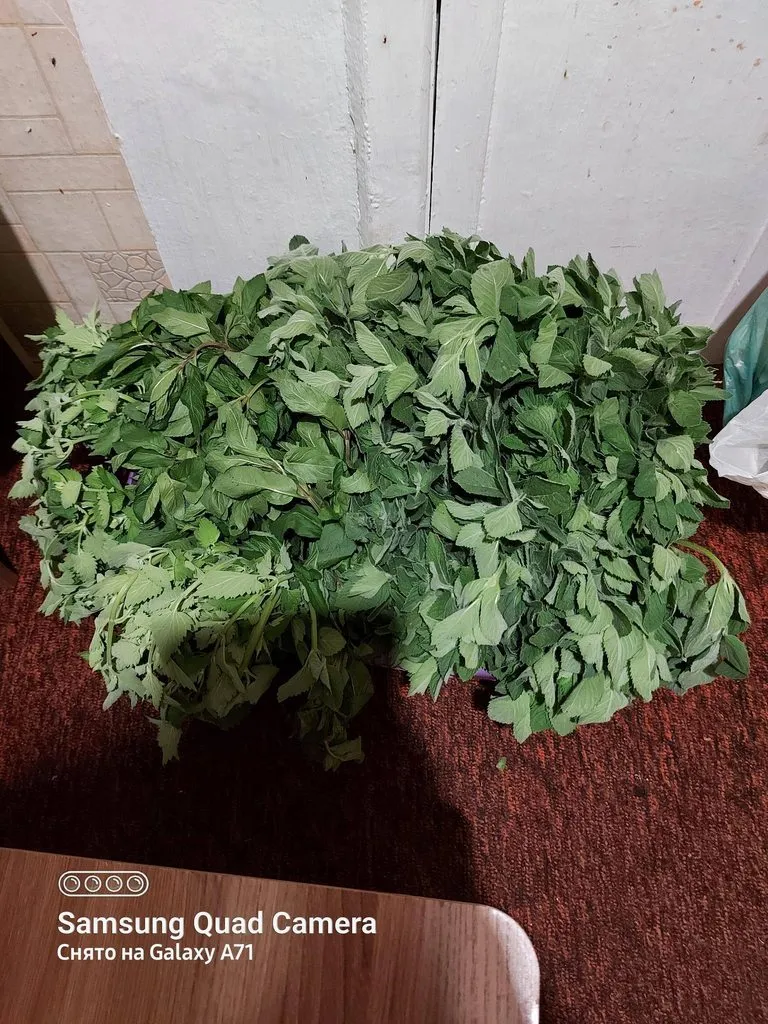 Чайная беседка