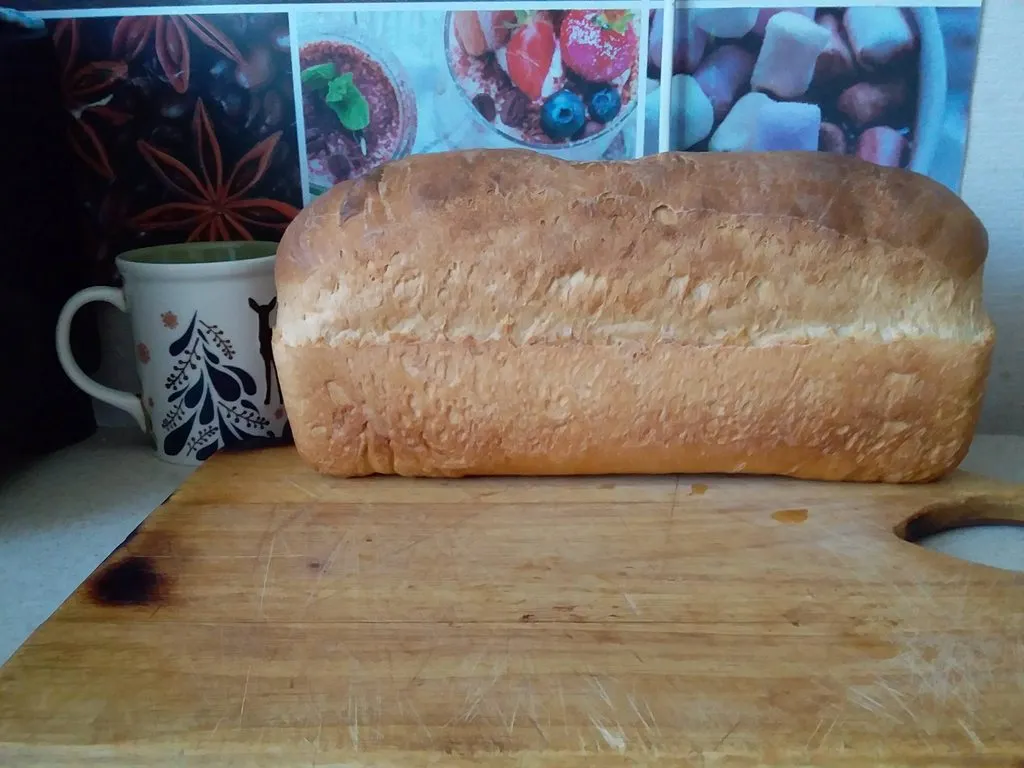 Что Вы сейчас едите? Фотоблог с вашего стола