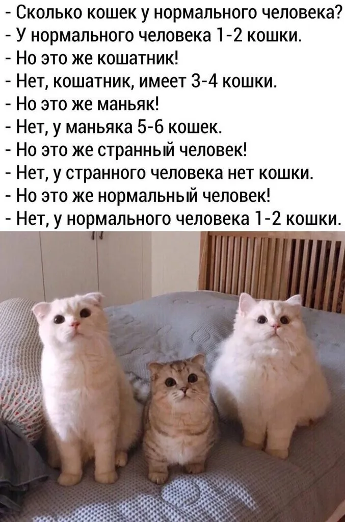 Кто сказал "Мяу"?