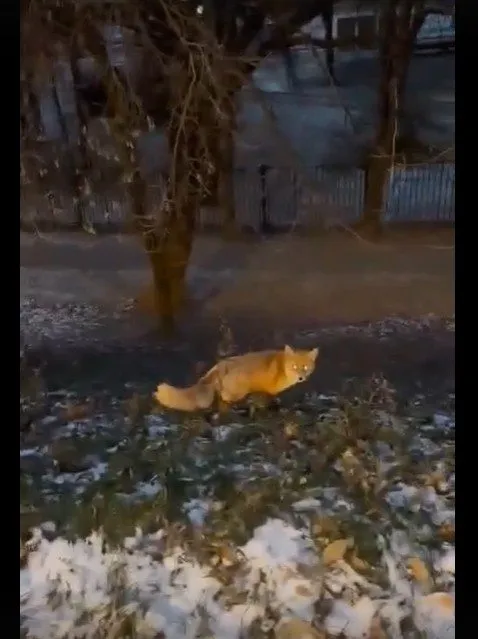 Коломенское