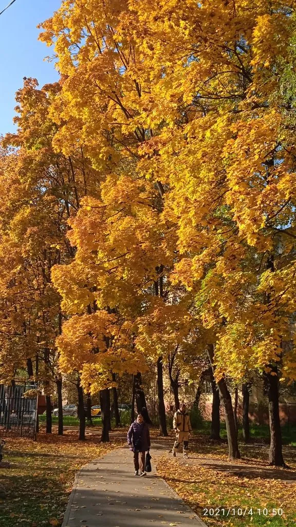 Чайная беседка