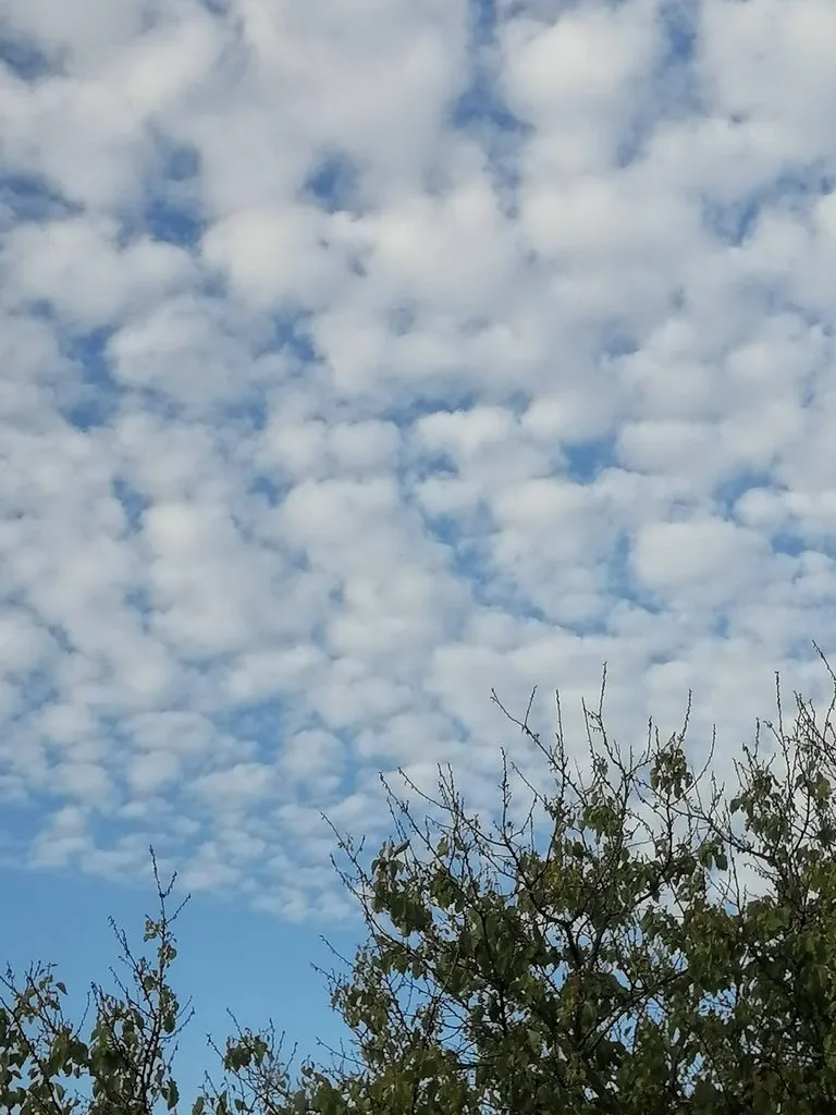 Чайная беседка