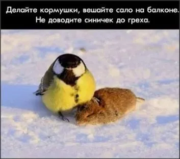 Посмеялся сам - поделись с другом!!!