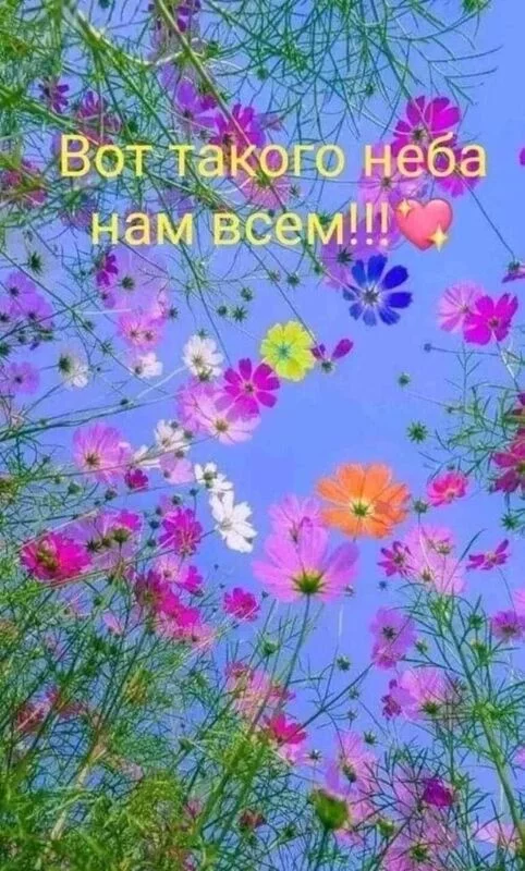 Кафе "У пани Сони"