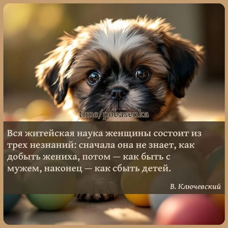 «Вся житейская наука женщины состоит из трех незнаний сначала она не знает, как добыть жениха, потом — как быть с мужем,...» height="550" width="550"