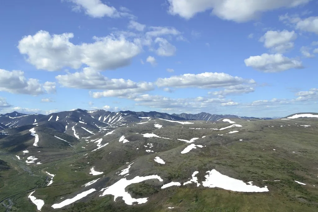 Чайная беседка