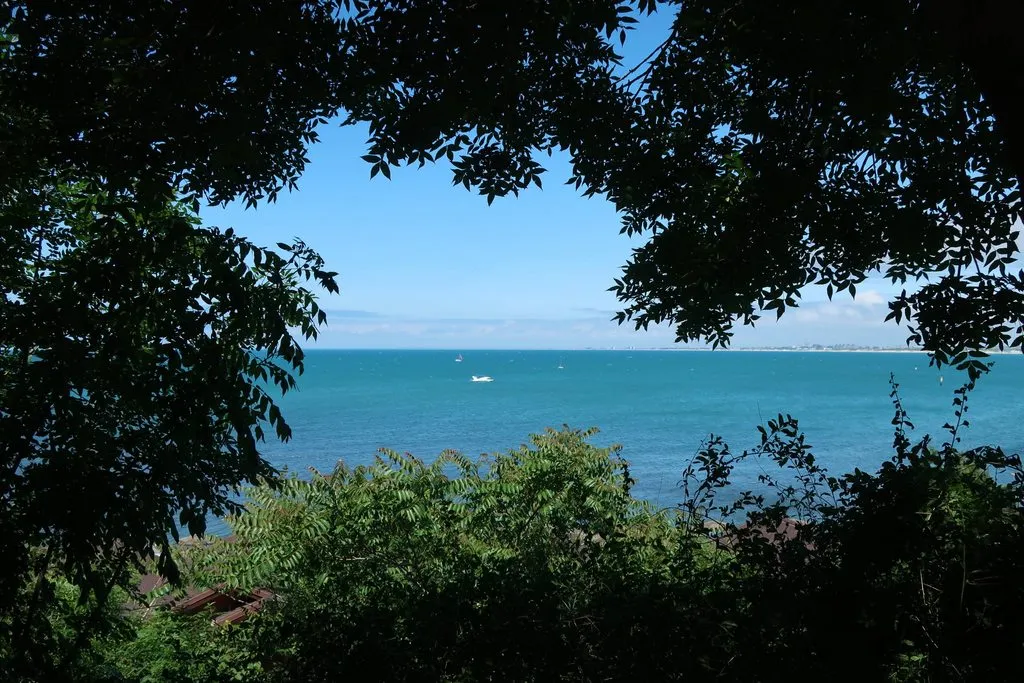 Tapтaлeтки & Ко